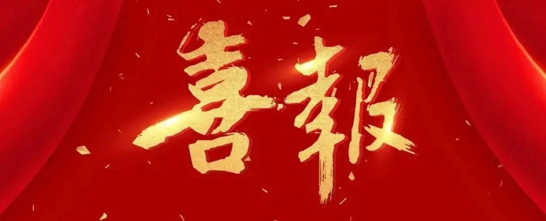 2025年度板材十大品牌-雪寶板材再攬殊榮